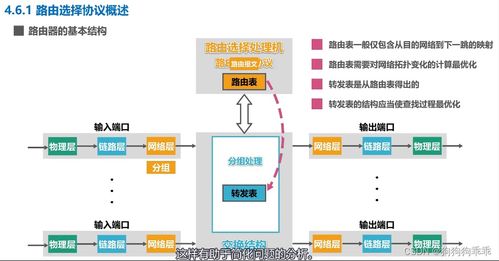 路由信息協議RIP在計算機網絡信息管理與服務中的角色